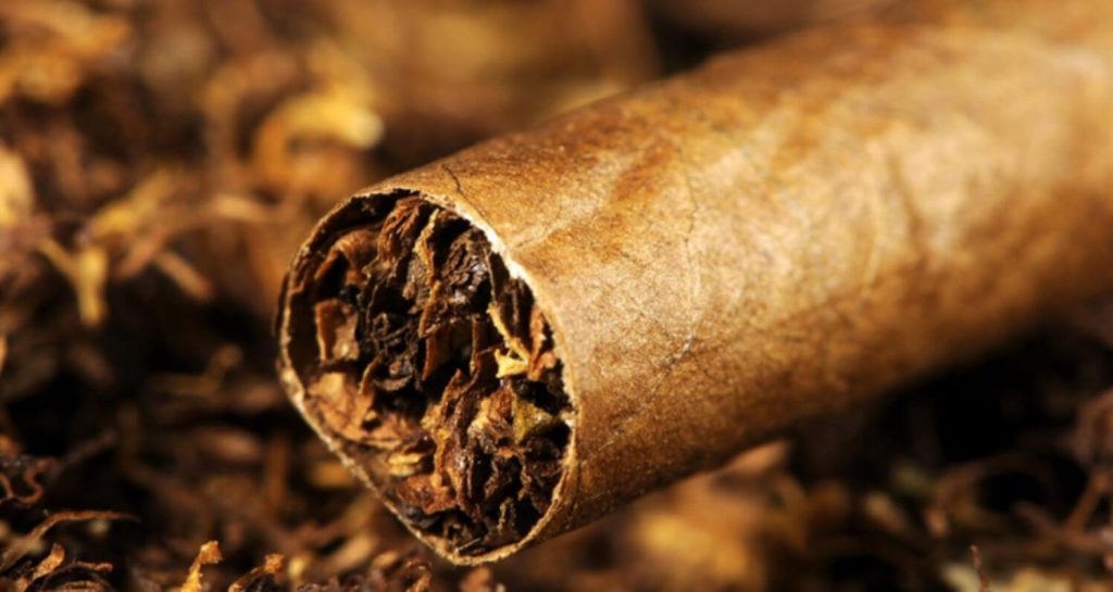 Classic cigars in modern tobacco world